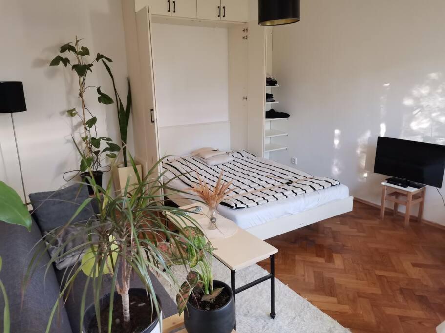 Cozy Studio In The City Centre Near Train Station Bratislava Buitenkant foto